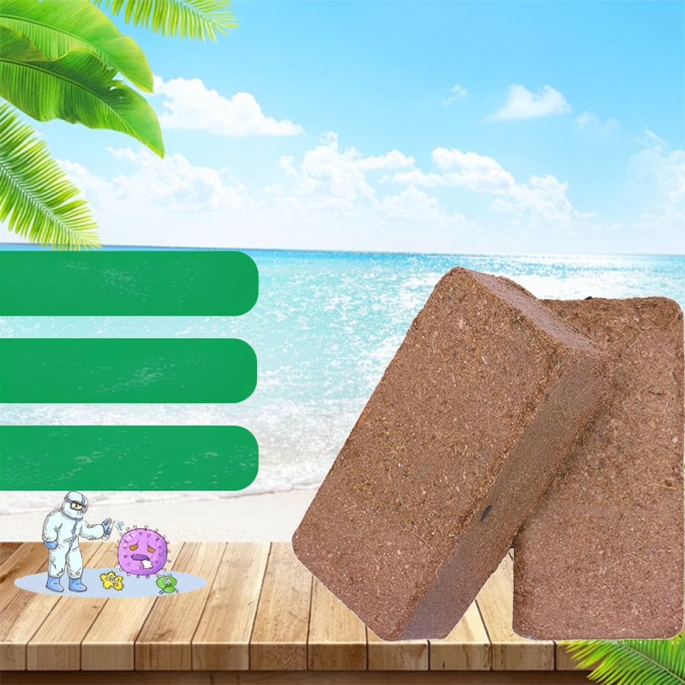 高級乾燥ココヤシ繊維ブロック。園芸用、鉢植え、野菜の苗、室内 - Substrate Coconut Fiber のレビューと価格
