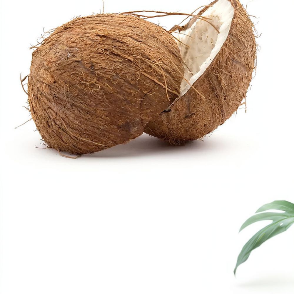 高級乾燥ココヤシ繊維ブロック。園芸用、鉢植え、野菜の苗、室内 - Substrate Coconut Fiber のレビューと価格