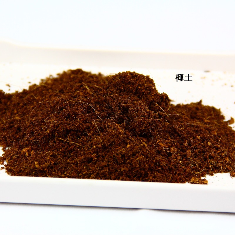 ココナッツ土ブロック、爬虫類用土、カメ、ヤモリ、ヘビ用、観賞 - Substrate Coconut Fiber のレビューと価格